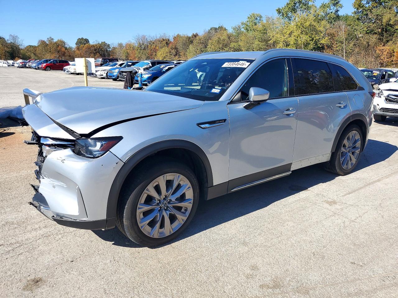 2025 MAZDA CX-90 PREMIUM PLUS | JM3KKEHD7S1218450 | UPCARS