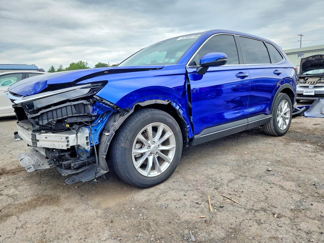 2025 HONDA CRV EXL | 2HKRS4H71SH466570 | UPCARS