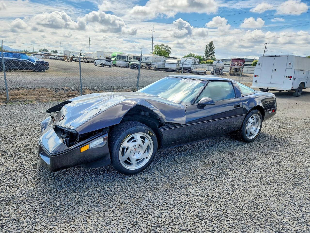 1990 CHEVROLET CORVETTE | 1G1YY238XL5102382 | UPCARS