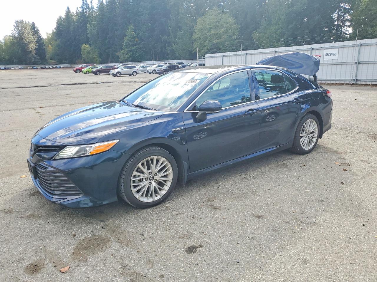2019 TOYOTA CAMRY SOLA XLE | 4T1B21HK9KU512233 | UPCARS