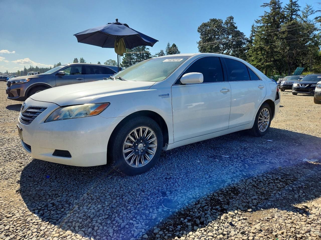 2007 TOYOTA CAMRY HYBRID | 4T1BB46KX7U013629 | UPCARS