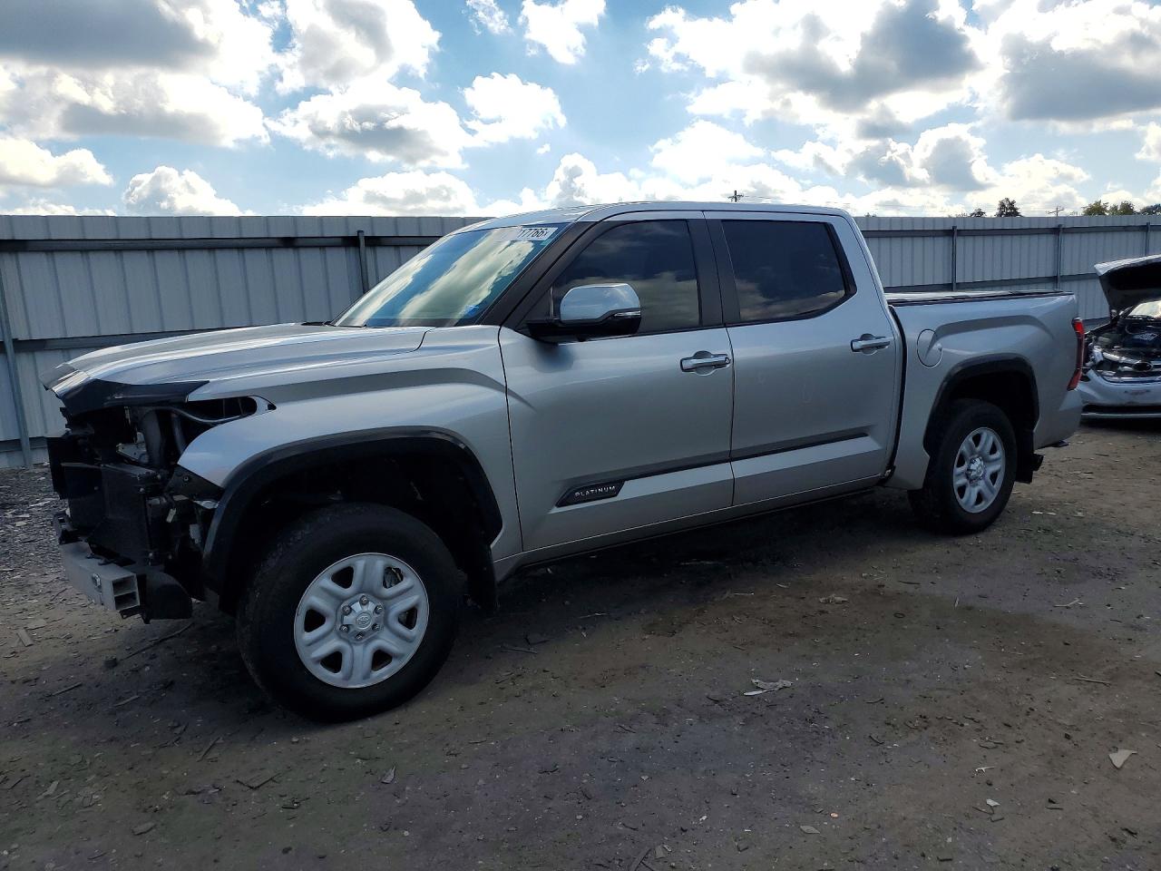 2024 TOYOTA TUNDRA PLATINUM | 5TFNA5DB3RX182499 | UPCARS