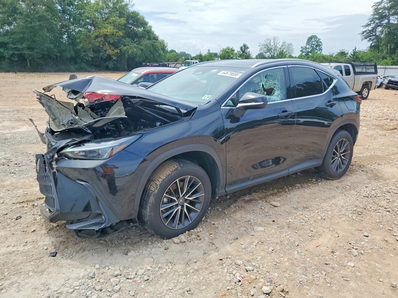 2025 LEXUS NX BASE | 2T2AGCEZ1SC092698 | UPCARS