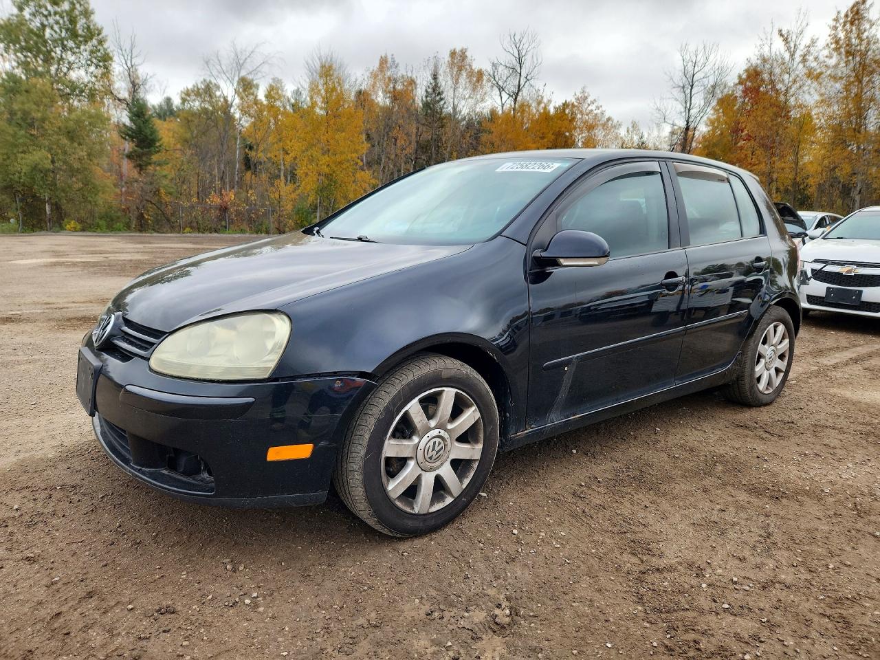 2009 VOLKSWAGEN RABBIT | WVWDA71K89W042353 | UPCARS