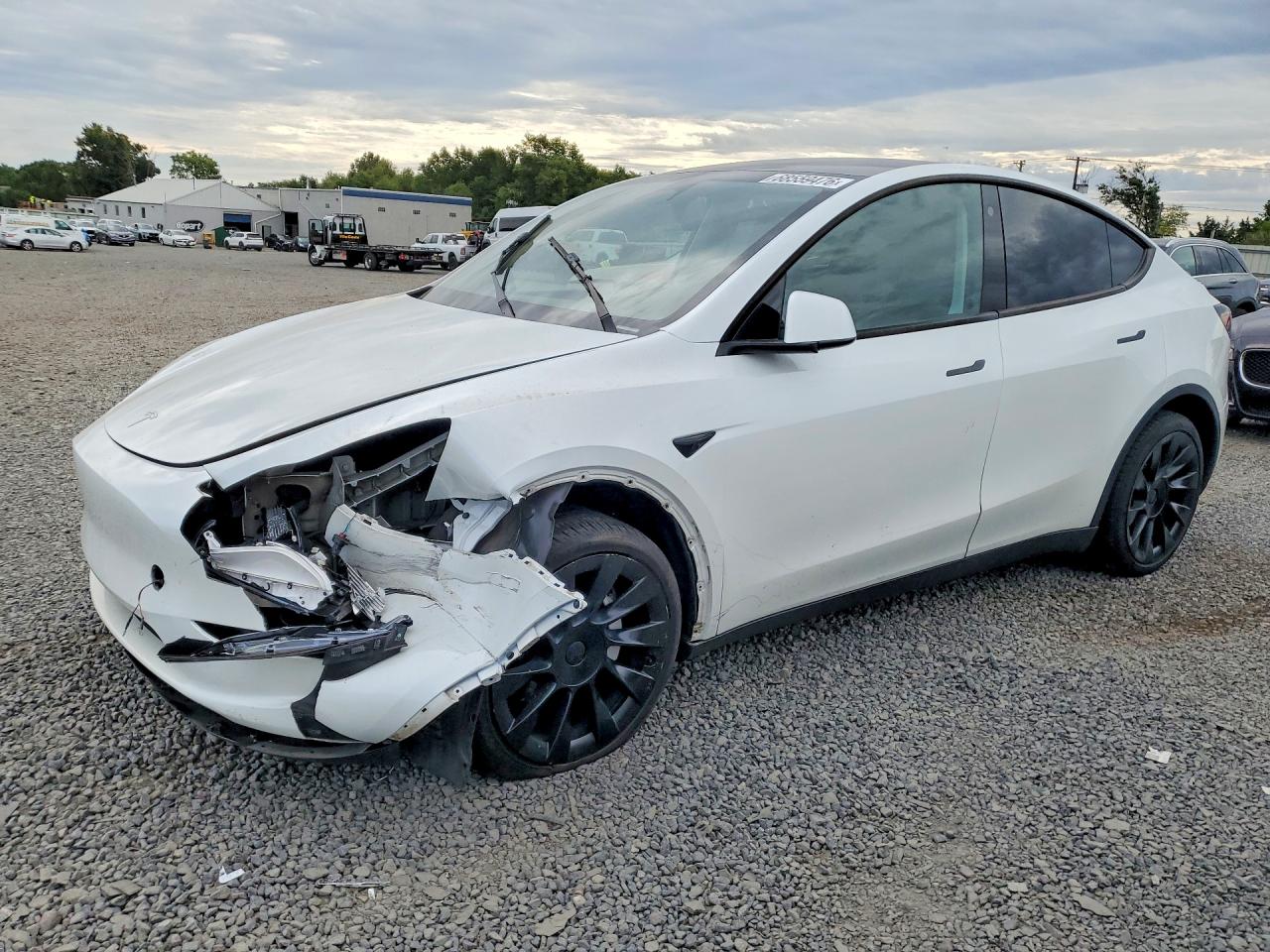 2023 TESLA MODEL Y | 7SAYGDEE0PA128941 | UPCARS