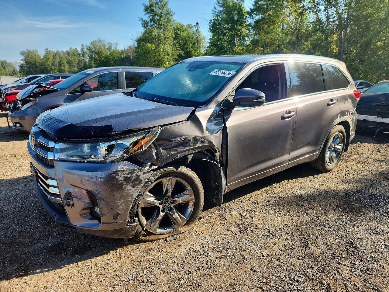 2019 TOYOTA HIGHLANDER LIMITED | 5TDDZRFH4KS982639 | UPCARS
