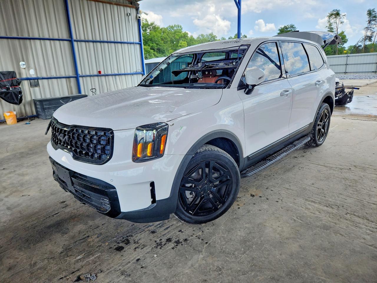 2025 KIA TELLURIDE SX-PRESTIGE X-LINE | 5XYP5DGC3SG647268 | UPCARS
