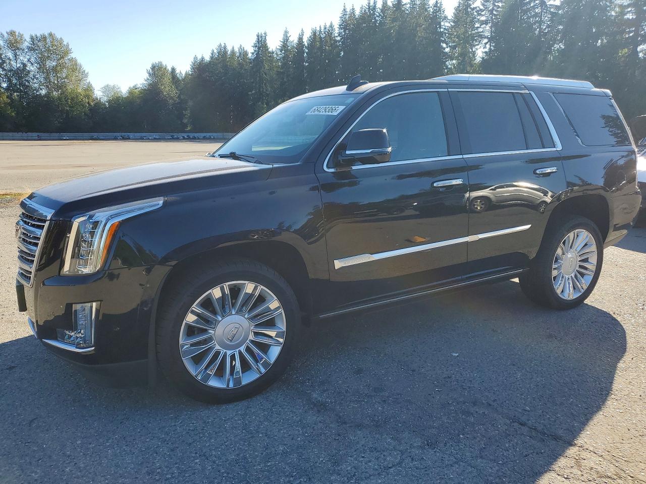 2020 CADILLAC ESCALADE PLATINUM | 1GYS4DKJ0LR261276 | UPCARS