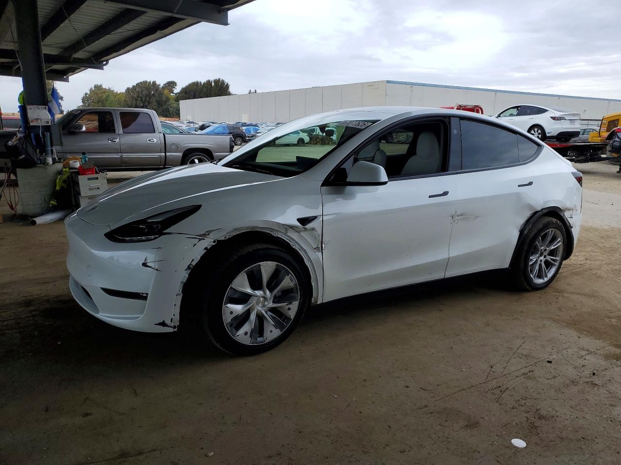 2023 TESLA MODEL Y | 7SAYGDEE3PF967484 | UPCARS