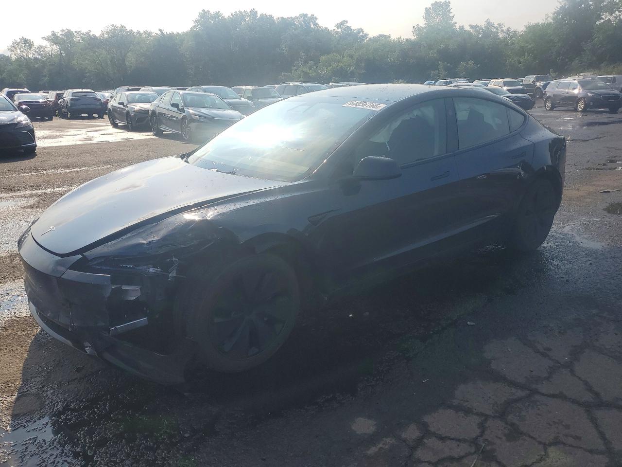 2025 TESLA MODEL 3 | 5YJ3E1EBXSF889831 | UPCARS