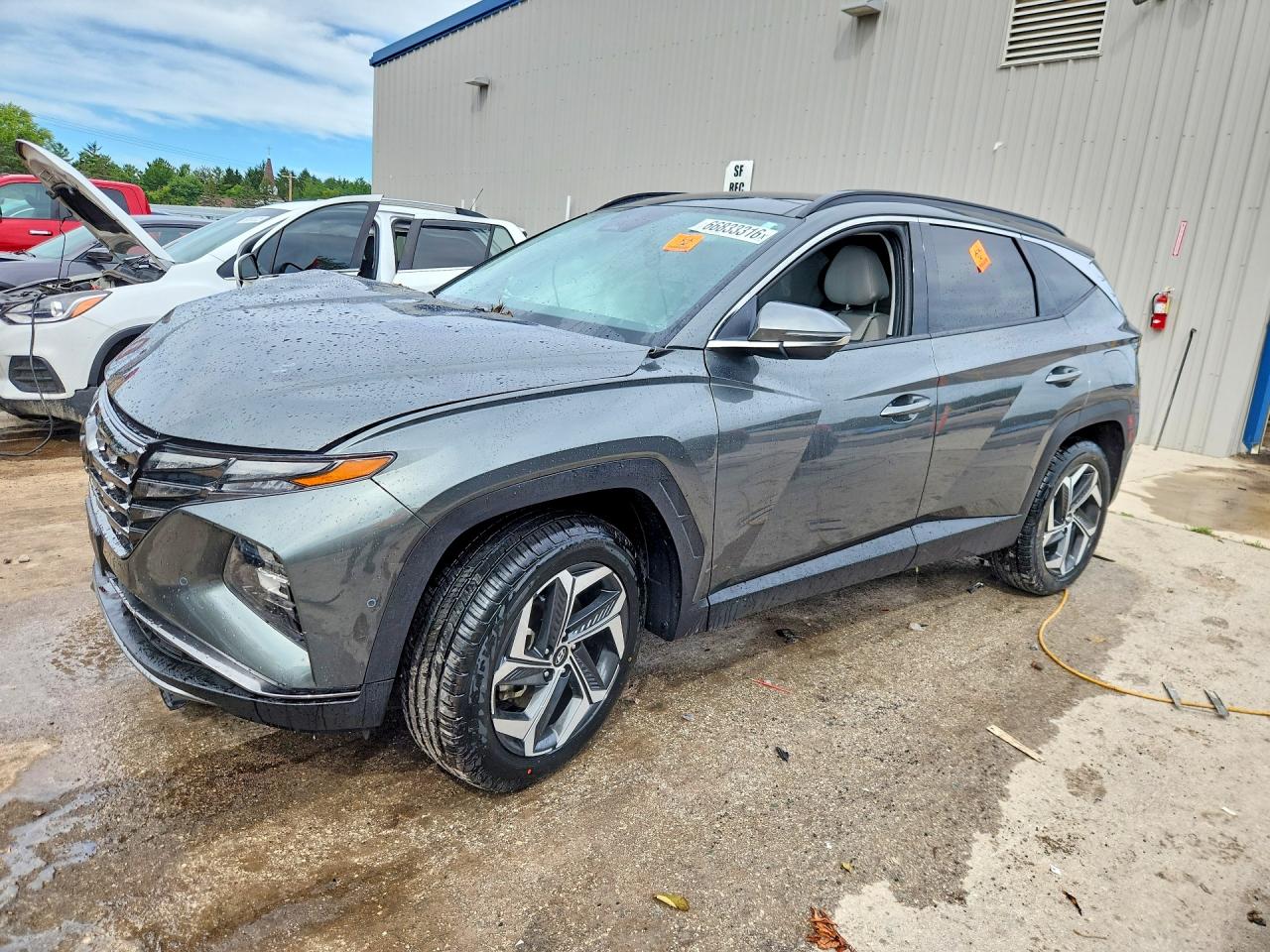 2023 HYUNDAI TUCSON LIMITED | 5NMJECAE1PH246728 | UPCARS