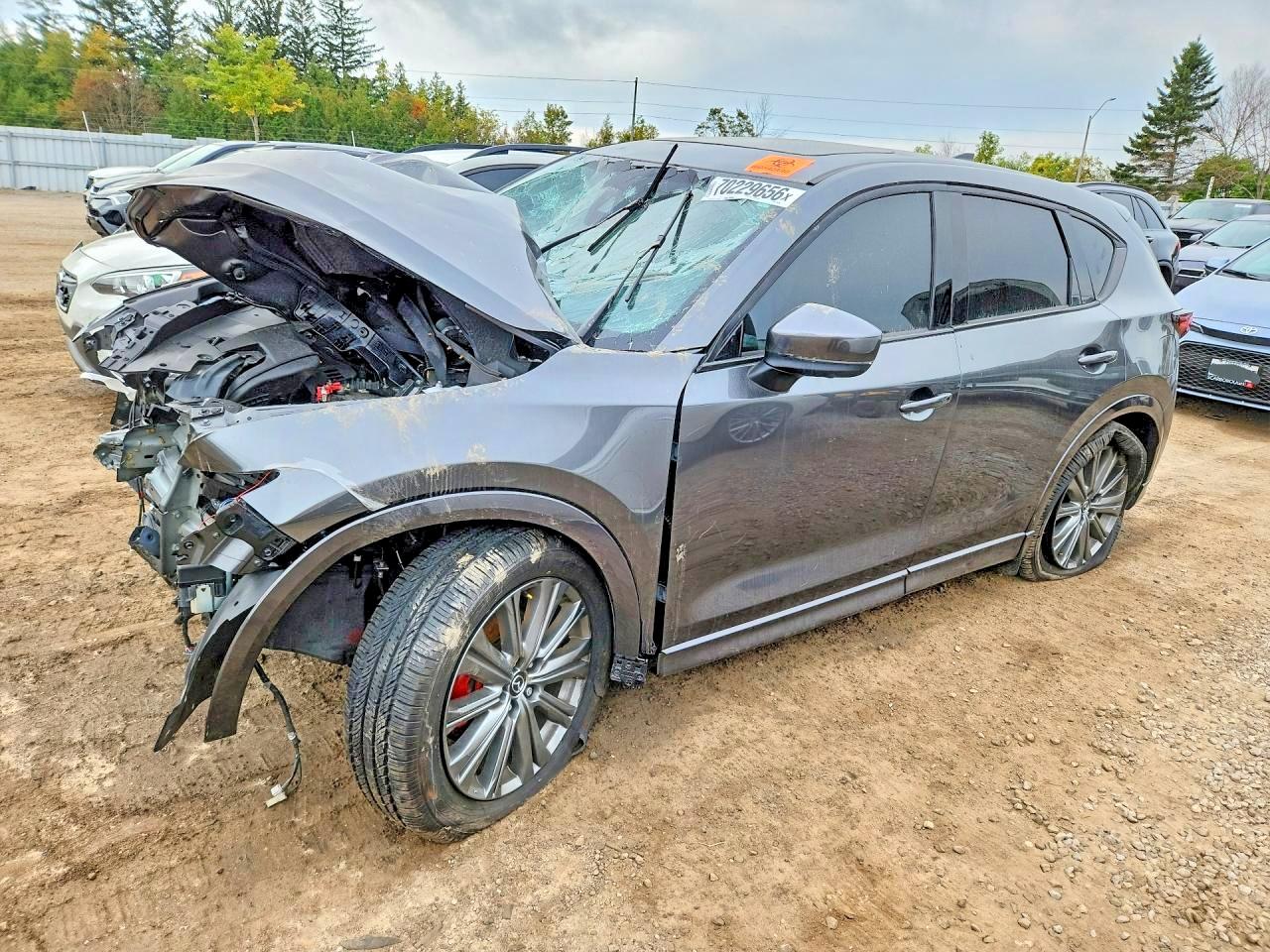 2025 MAZDA CX-5 SIGNATURE | JM3KFBEY9S0700790 | UPCARS