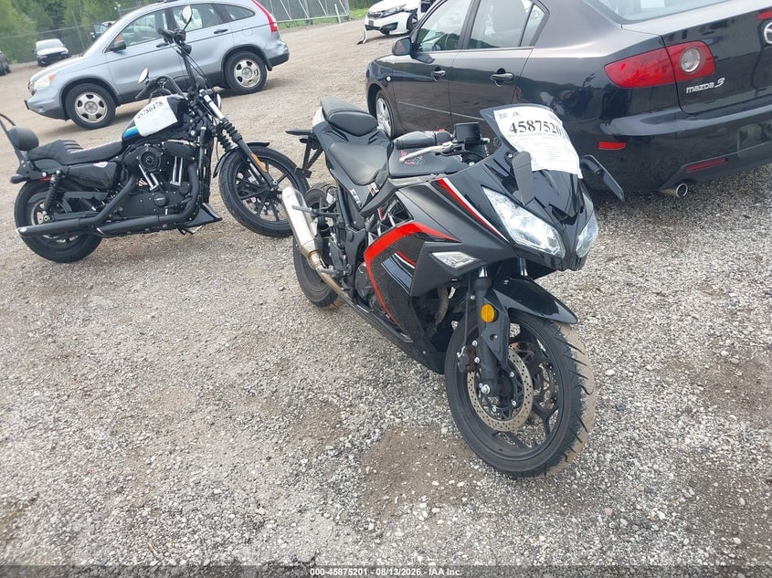 2023 BAODIAO ROADSTER 250 | L2BB5AAK4PB205006 | UPCARS