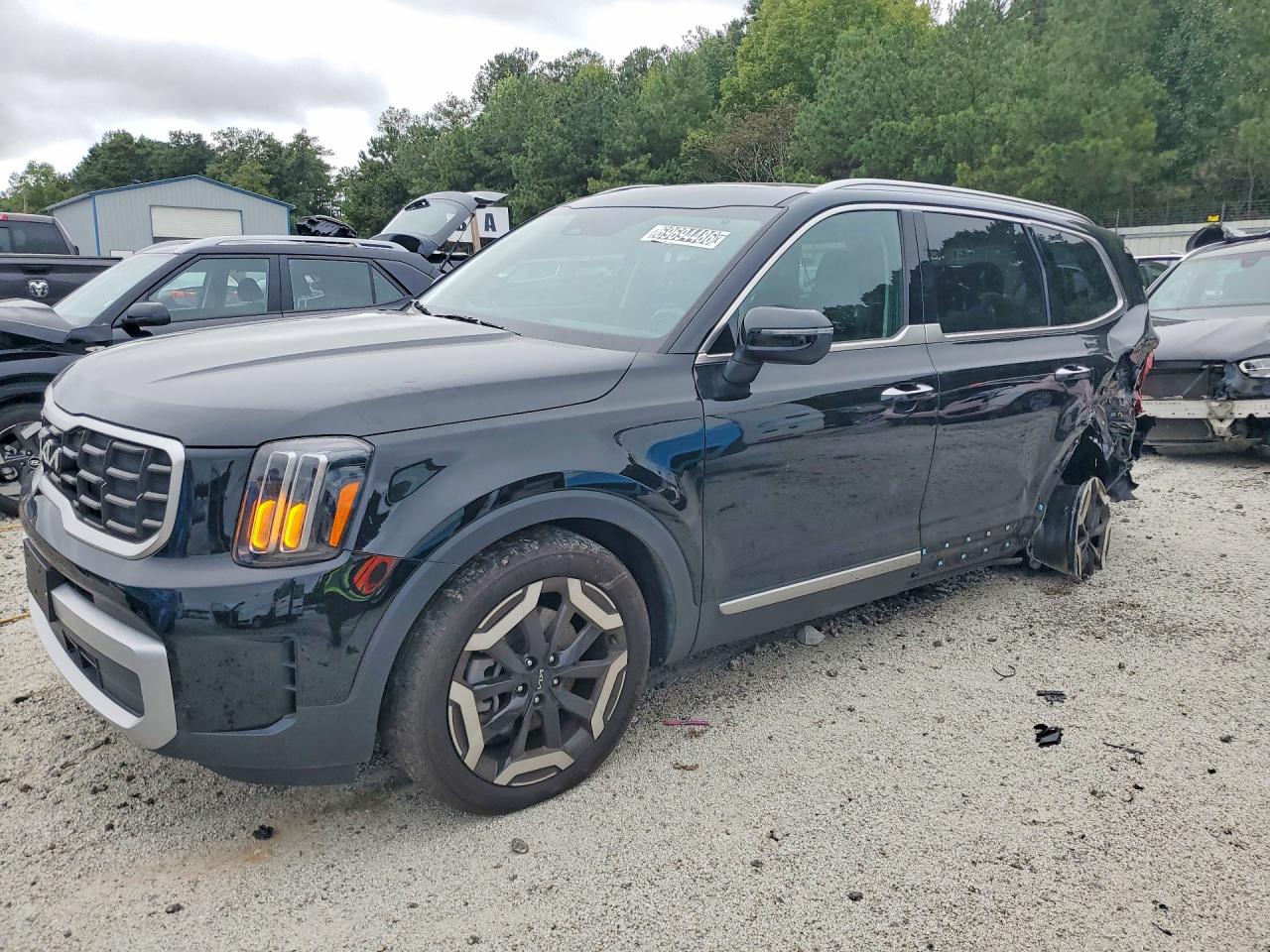 2025 KIA TELLURIDE S | 5XYP64GC3SG638325 | UPCARS