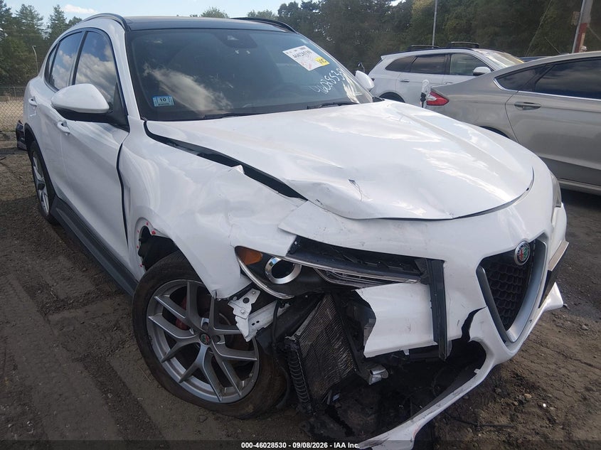 2019 ALFA ROMEO STELVIO TI SPORT AWD | ZASPAKBNXK7C41873 | UPCARS