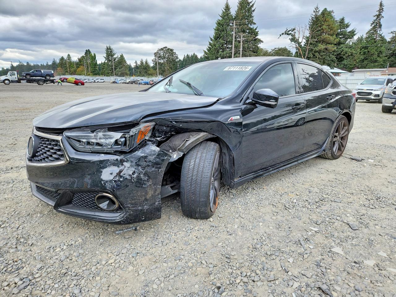 2019 ACURA TLX ADVANCE | 19UUB3F88KA801896 | UPCARS