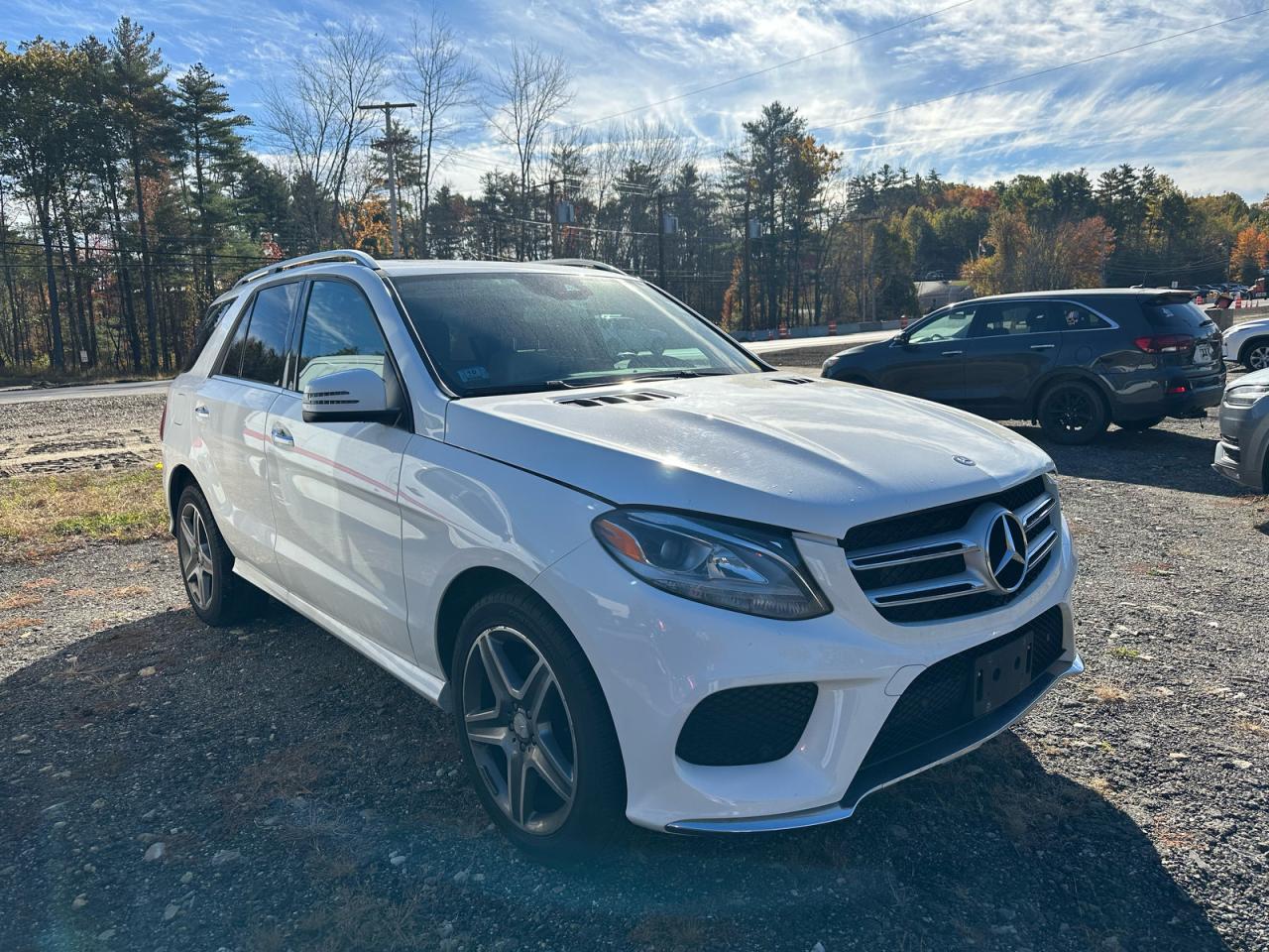 2016 MERCEDES-BENZ GLE-CLASS 400 4MATIC | 4JGDA5GBXGA668357 | UPCARS