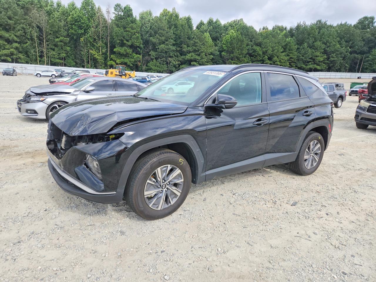 2023 HYUNDAI TUCSON BLUE | KM8JBCA19PU110017 | UPCARS
