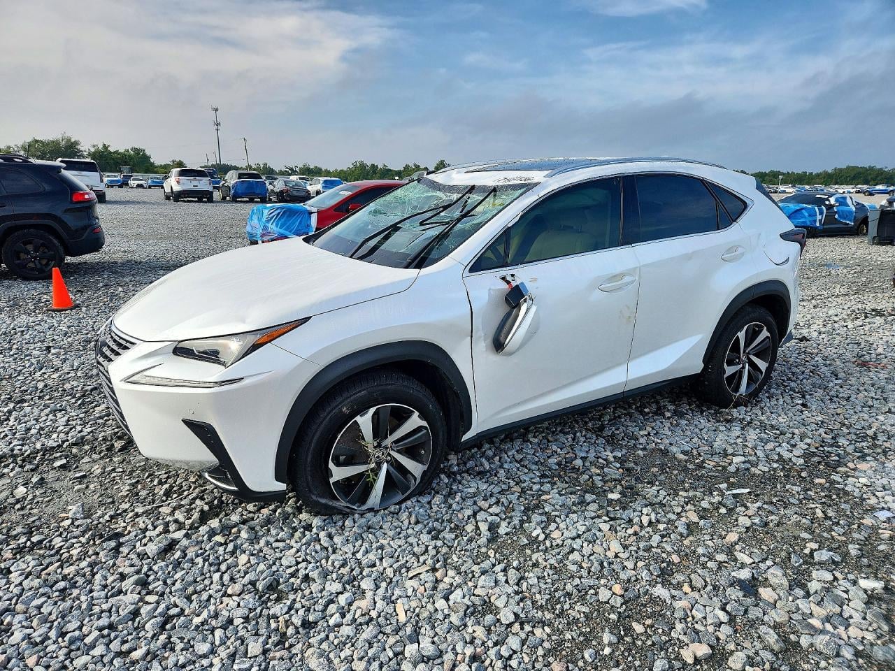 2020 LEXUS NX 300 | JTJGARBZXL2176149 | UPCARS