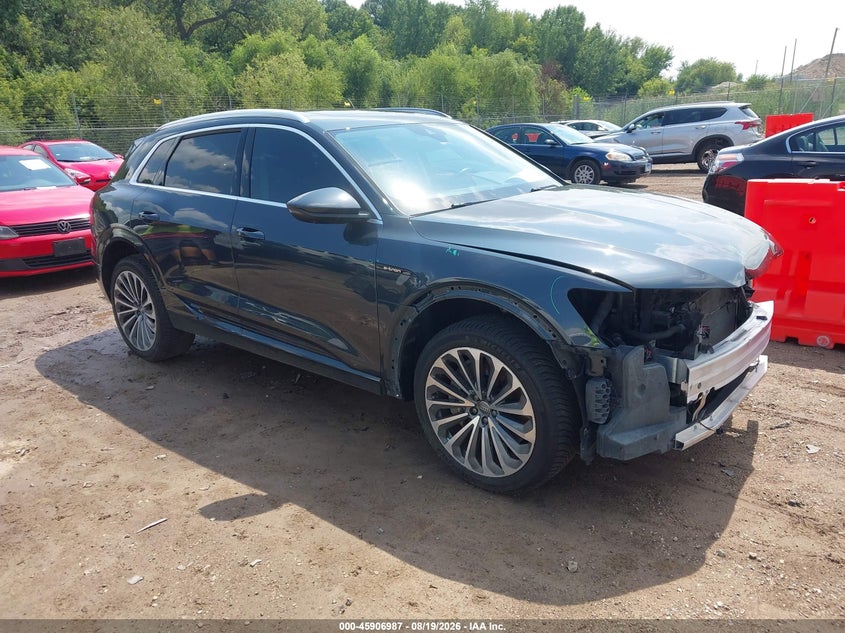 2019 AUDI E-TRON PREMIUM PLUS | WA1VAAGE5KB024967 | UPCARS