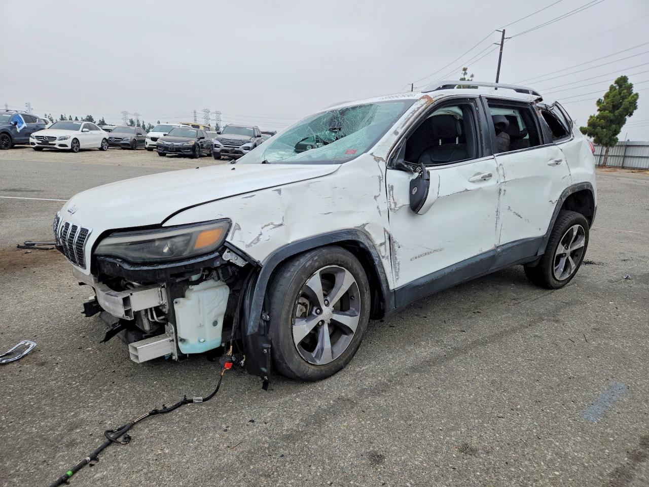 2019 JEEP CHEROKEE LIMITED | 1C4PJLDBXKD154896 | UPCARS