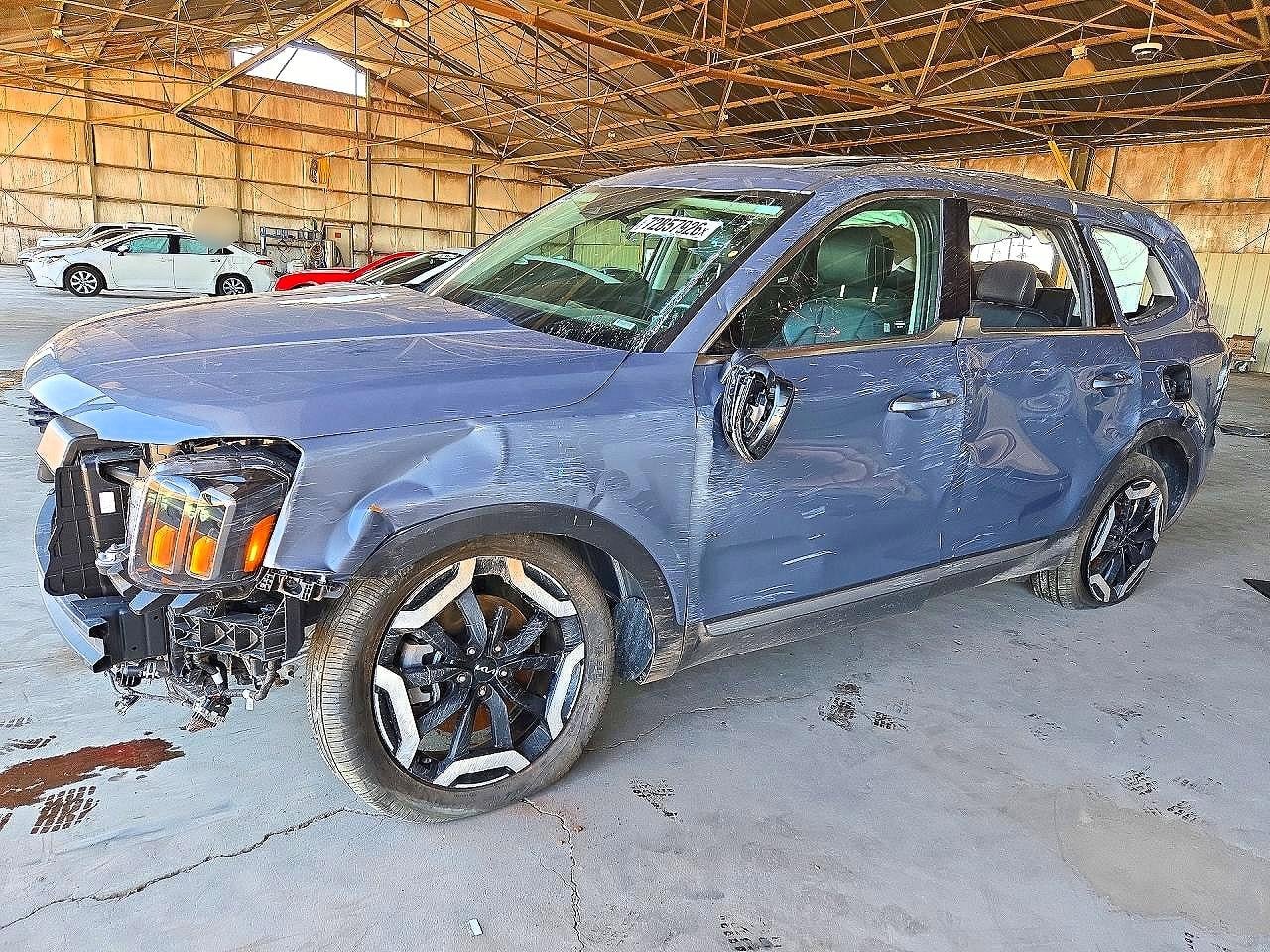 2025 KIA TELLURIDE S | 5XYP6DGC9SG696892 | UPCARS