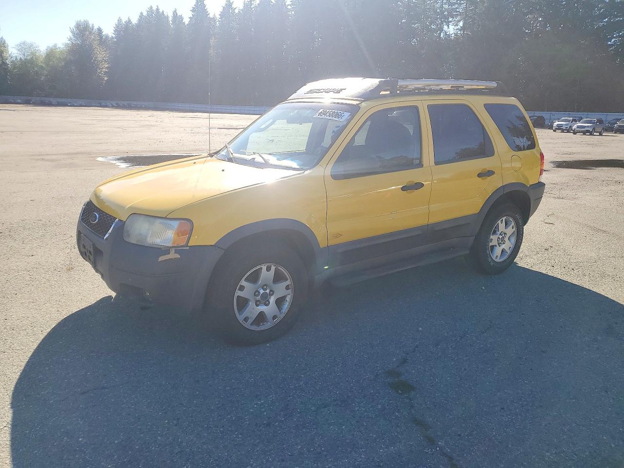 2003 FORD ESCAPE XLT | 1FMYU93193KB13286 | UPCARS