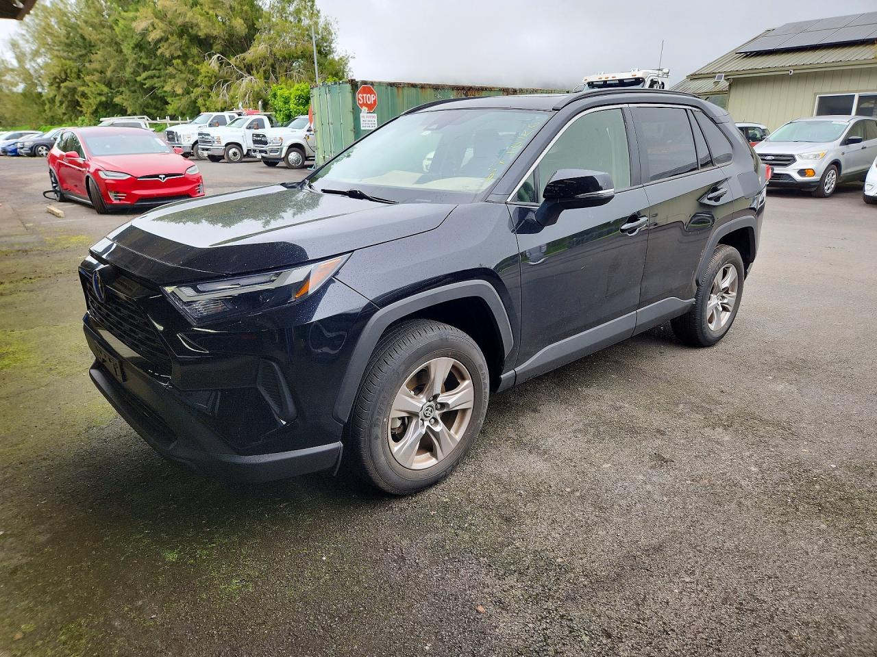 2025 TOYOTA RAV4 XLE | JTMW1RFV6SJ032463 | UPCARS