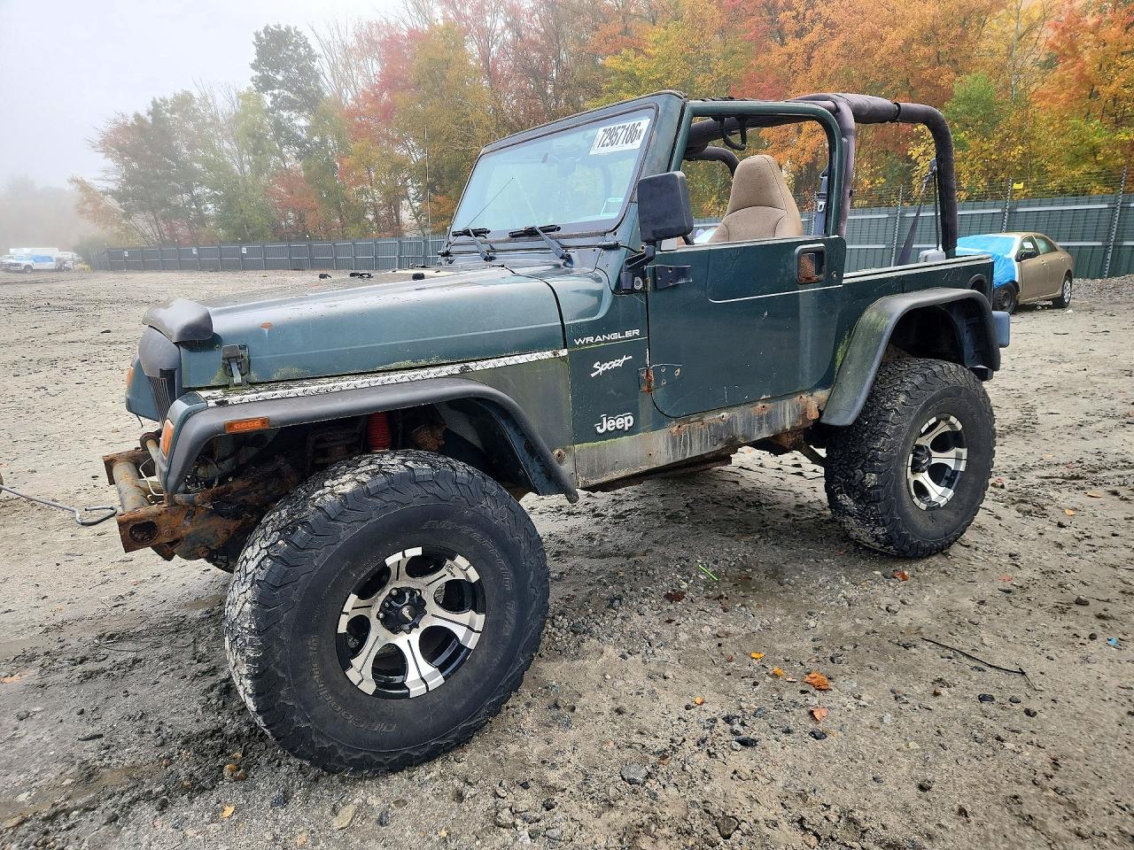 2002 JEEP WRANGLER SPORT | 1J4FA49S42P727570 | UPCARS