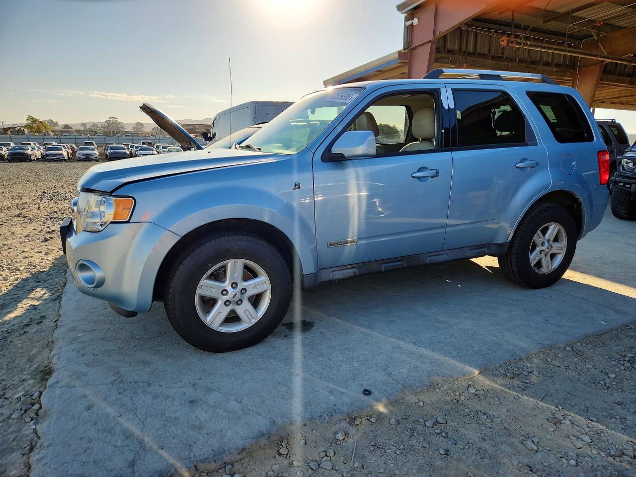 2008 FORD ESCAPE | 1FMCU59H38KA39426 | UPCARS