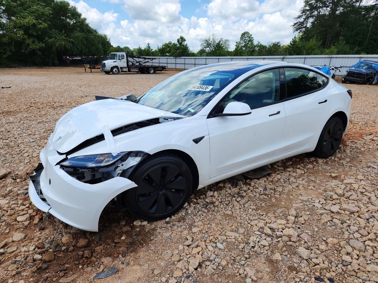 2025 TESLA MODEL 3 | 5YJ3E1EA7SF050324 | UPCARS