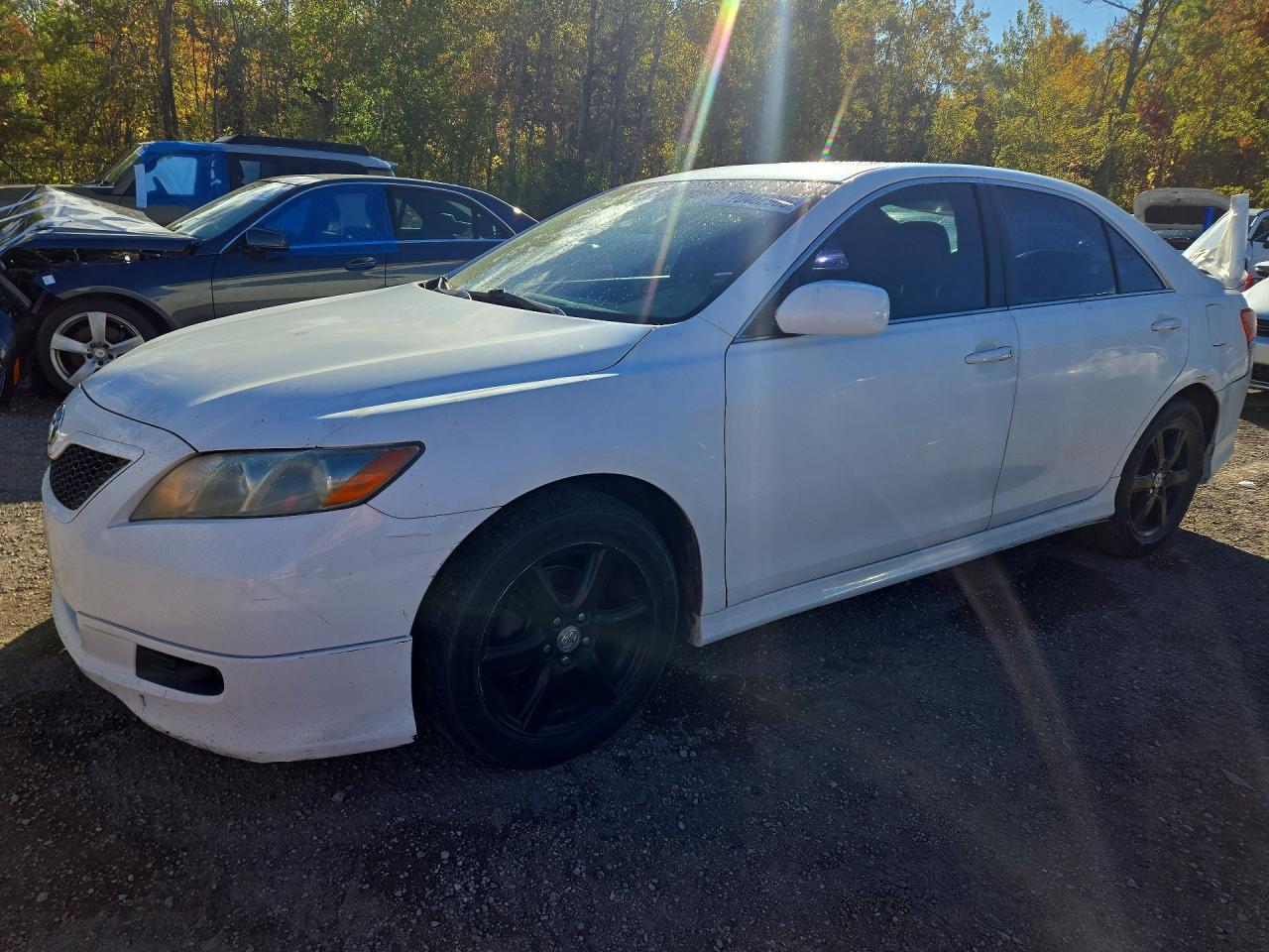 2009 TOYOTA CAMRY BASE | 4T1BE46K29U847064 | UPCARS