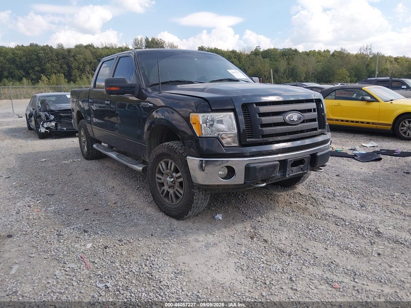 2010 FORD F-150 FX4/HARLEY-DAVIDSON/KING RANCH/LARIAT/PLATINUM/XL/XLT | 1FTFW1EV4AFD24537 | UPCARS