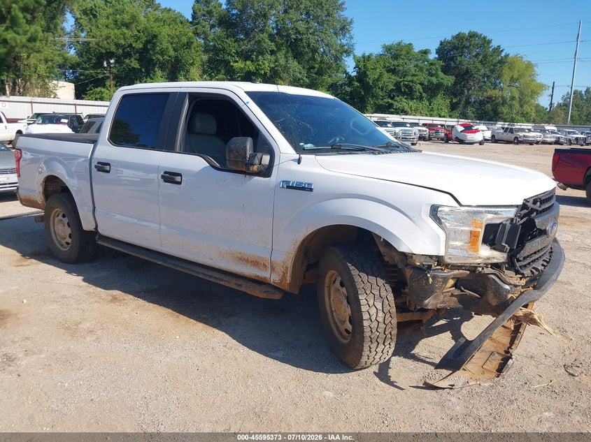 2019 FORD F-150 XL | 1FTEW1CB4KKD58913 | UPCARS