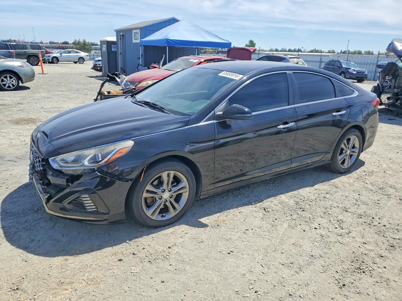 2019 HYUNDAI SONATA SEL | 5NPE34AF2KH768446 | UPCARS
