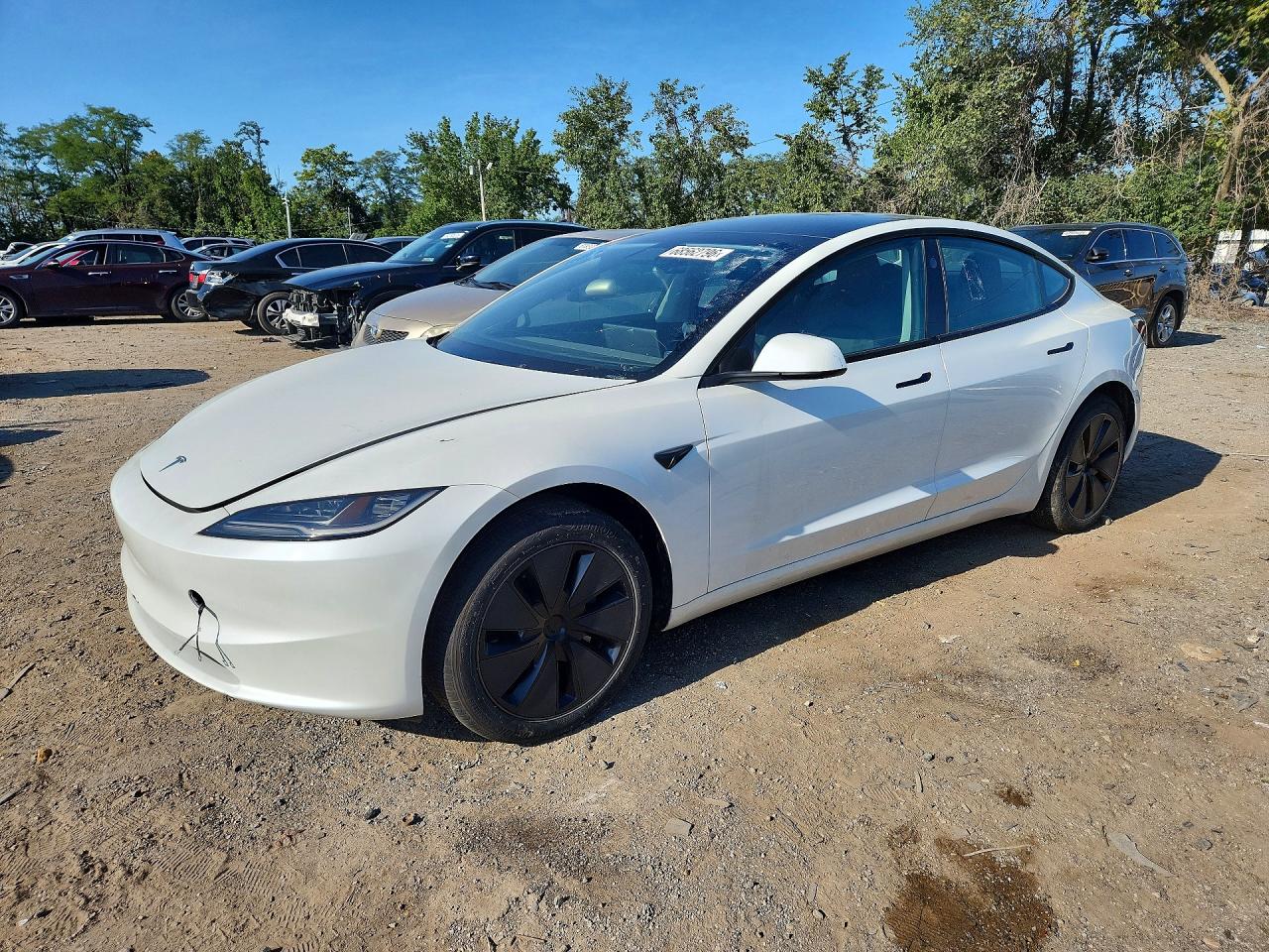 2025 TESLA MODEL 3 | 5YJ3E1EAXSF030780 | UPCARS