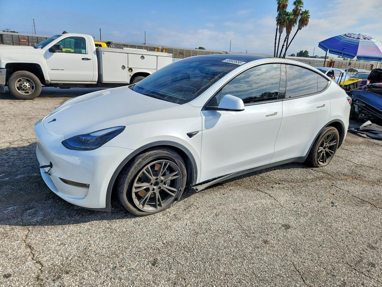 2024 TESLA MODEL Y | 7SAYGDEE8RF165323 | UPCARS