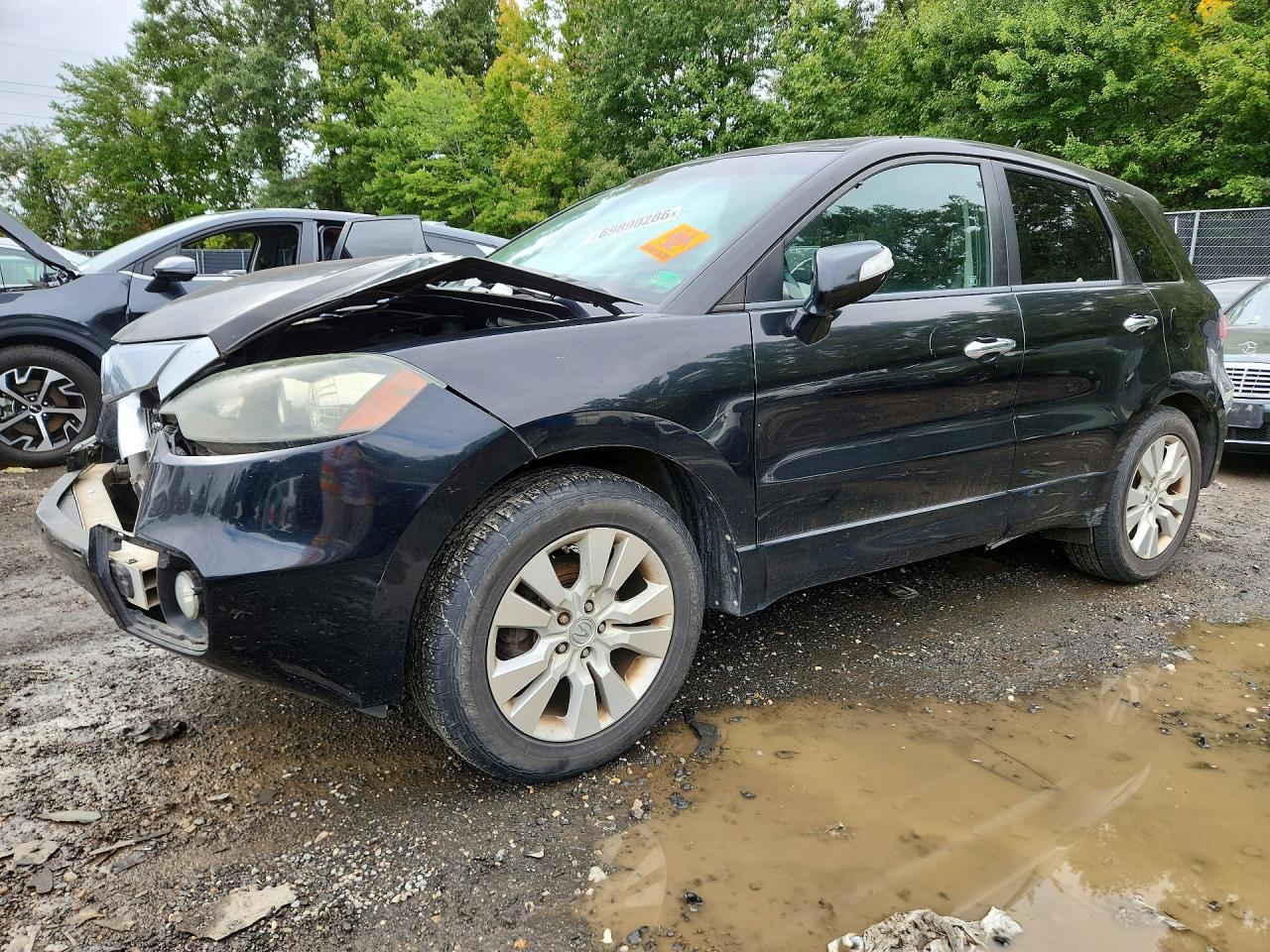 2010 ACURA RDX | 5J8TB2H21AA001017 | UPCARS