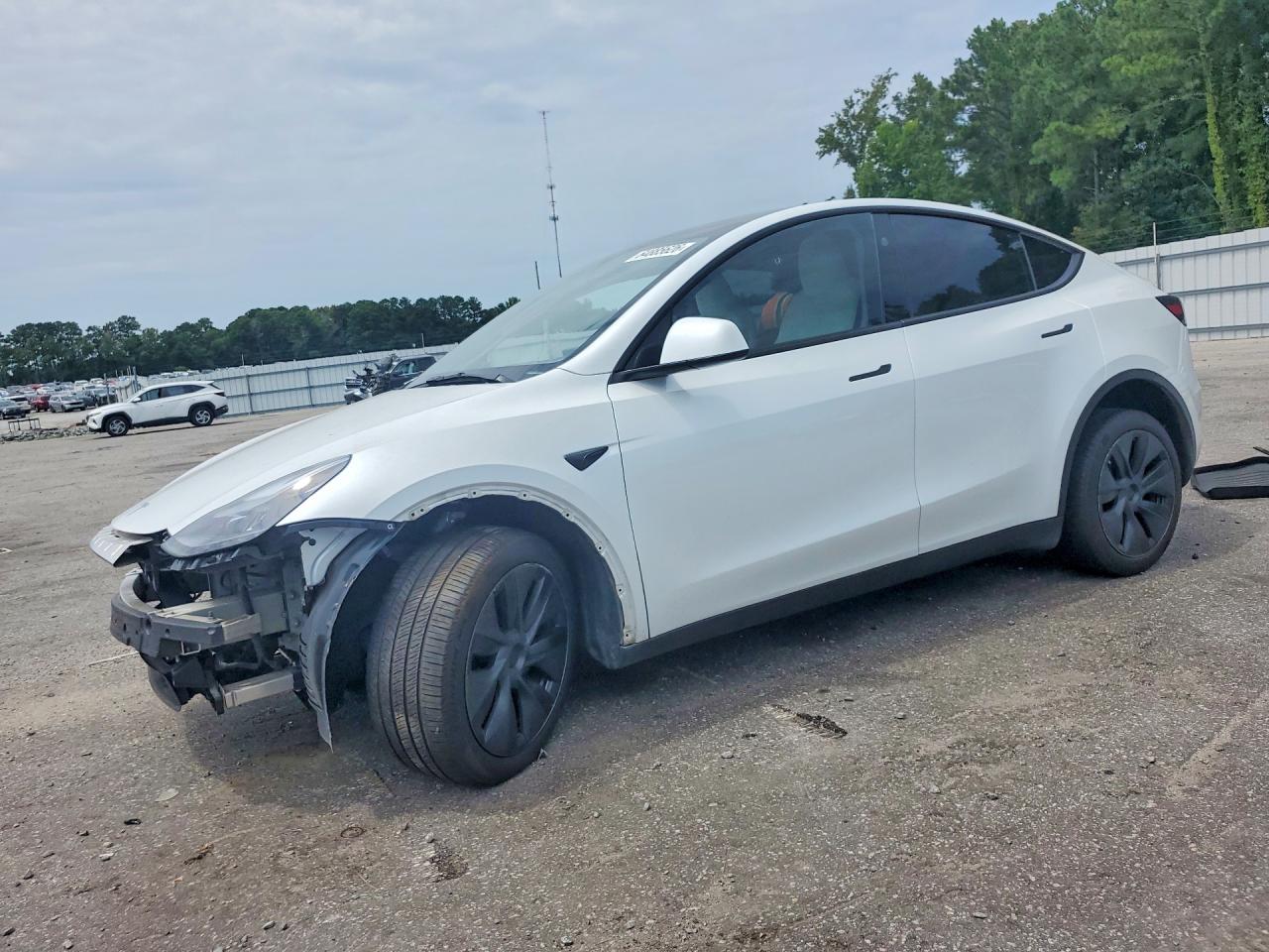 2025 TESLA MODEL Y | 7SAYGDEE9SA370183 | UPCARS