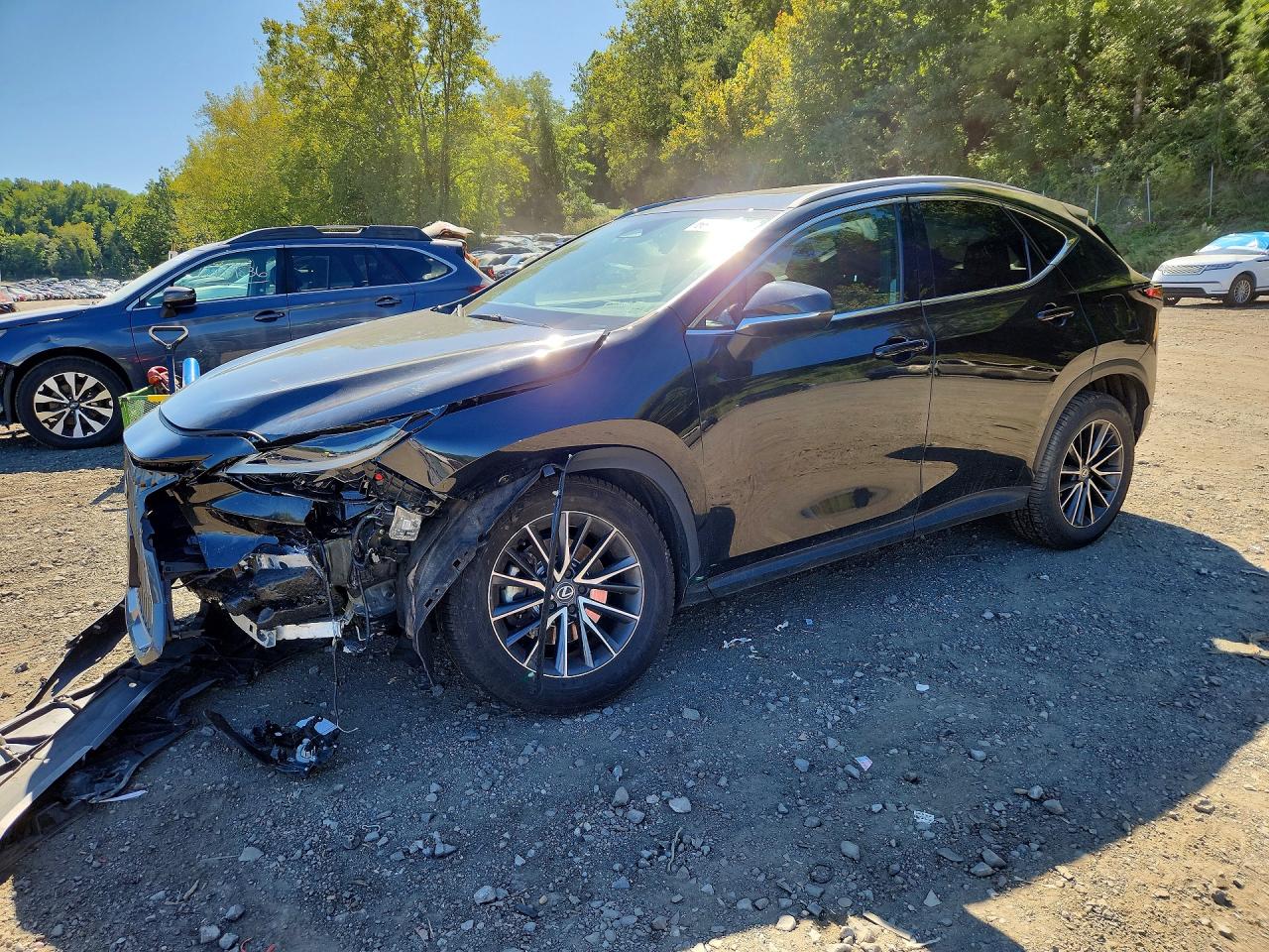 2024 LEXUS NX 350 PREMIUM | 2T2GGCEZ2RC041781 | UPCARS