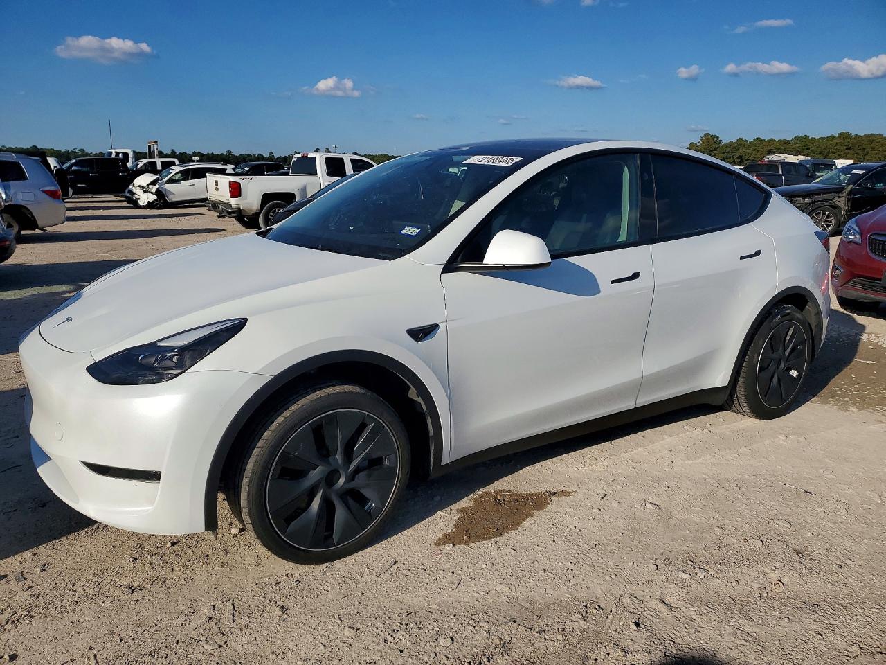 2025 TESLA MODEL Y | 7SAYGDED0SA378955 | UPCARS