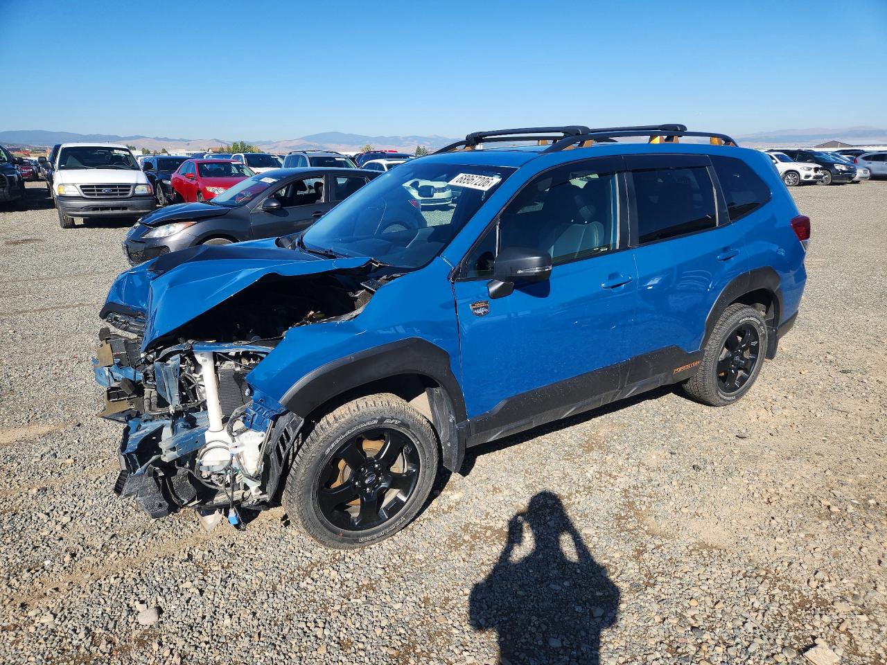 2022 SUBARU FORESTER WILDERNESS | JF2SKAMC4NH443114 | UPCARS