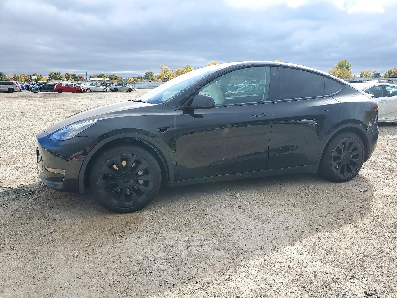 2021 TESLA MODEL Y | 5YJYGDEE8MF266920 | UPCARS