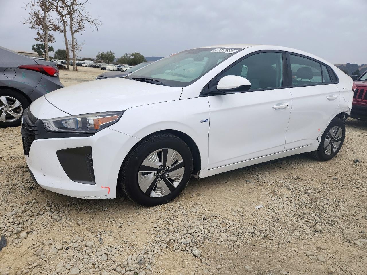 2019 HYUNDAI IONIQ BLUE | KMHC65LC6KU144769 | UPCARS