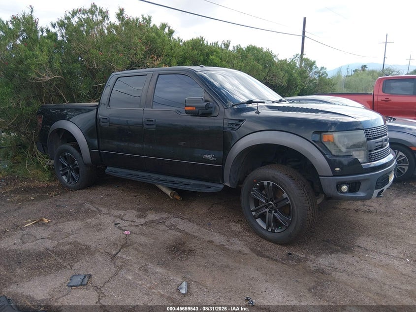 2013 FORD F-150 SVT RAPTOR | 1FTFW1R64DFA31342 | UPCARS