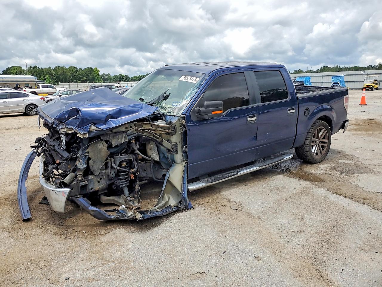 2010 FORD F150 SUPERCREW | 1FTEW1C88AFA22435 | UPCARS