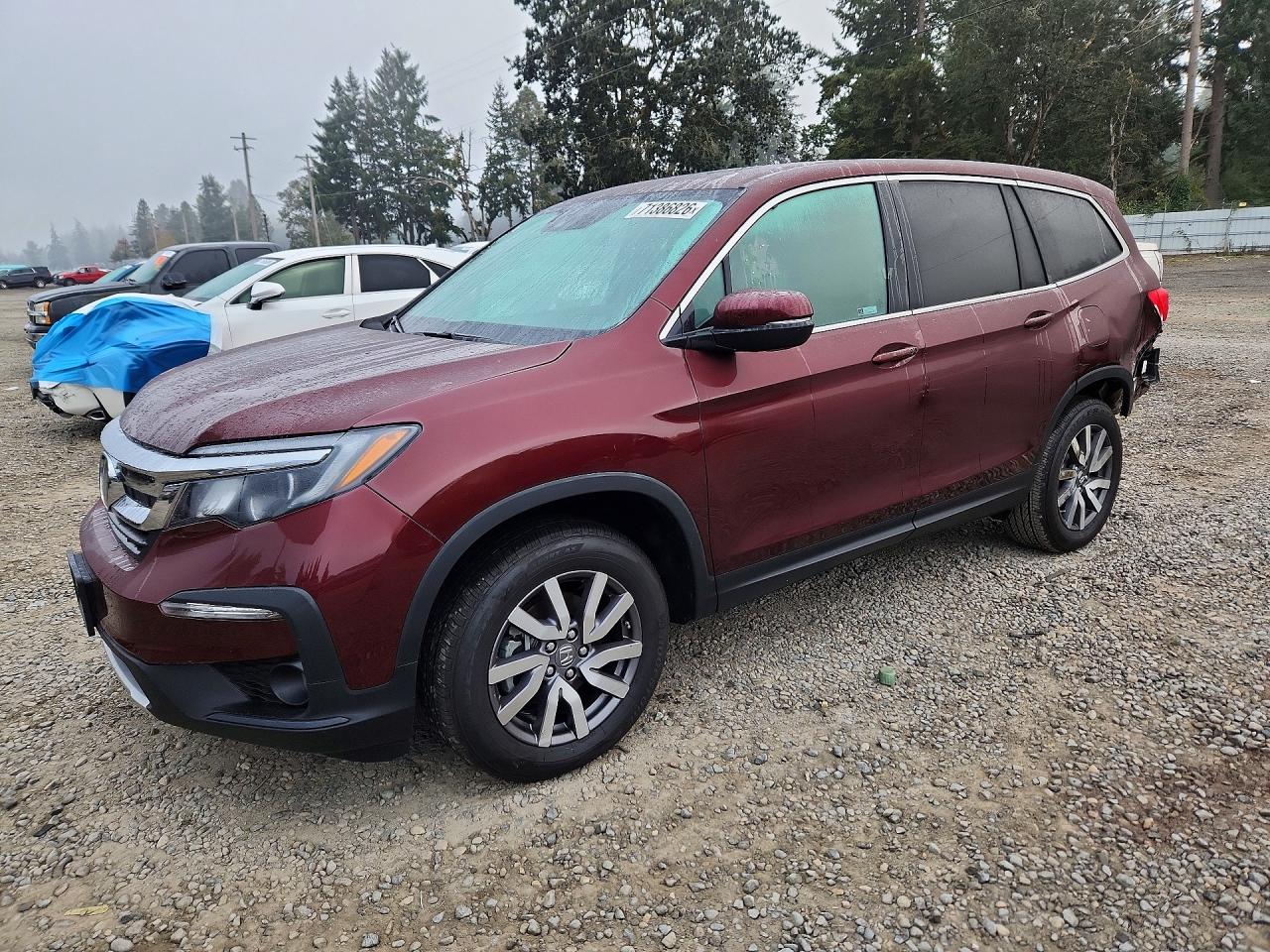 2021 HONDA PILOT EXL | 5FNYF6H50MB098457 | UPCARS