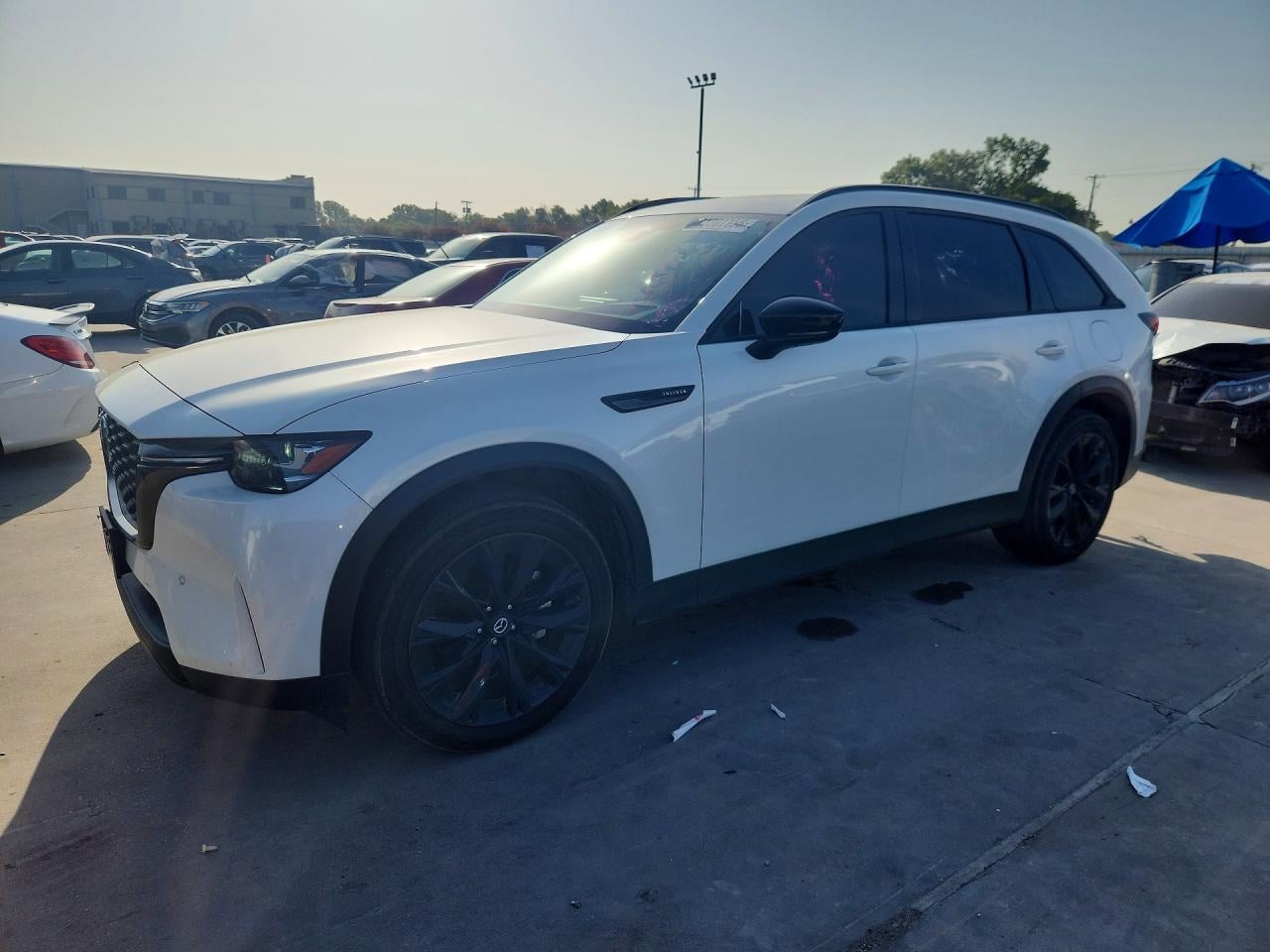 2025 MAZDA CX-90 PREMIUM SPORT | JM3KKCHD8S1246665 | UPCARS