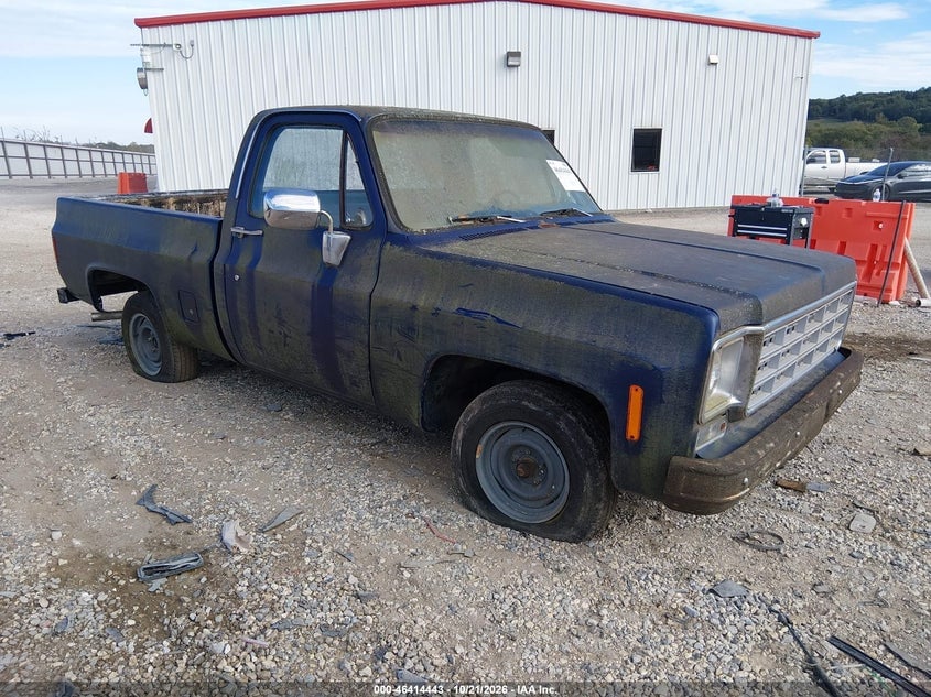 1976 CHEVROLET C10 | CCD146S199197 | UPCARS