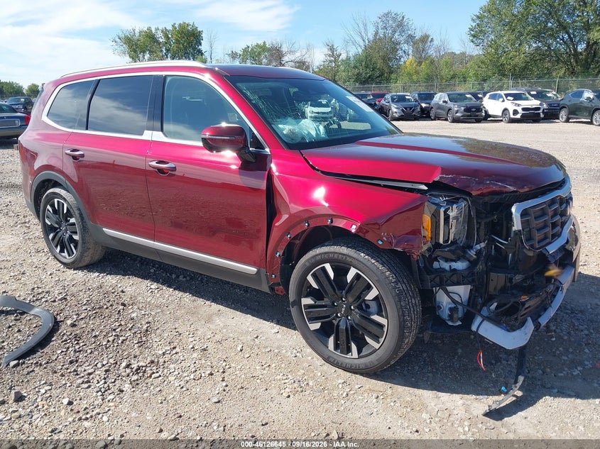 2024 KIA TELLURIDE SX | 5XYP5DGC2RG554901 | UPCARS